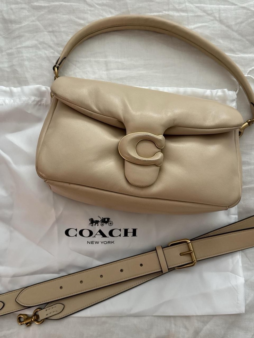 Coach pillow tabby